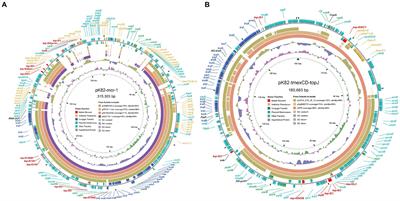 Convergence of plasmid-mediated Colistin and Tigecycline resistance in Klebsiella pneumoniae